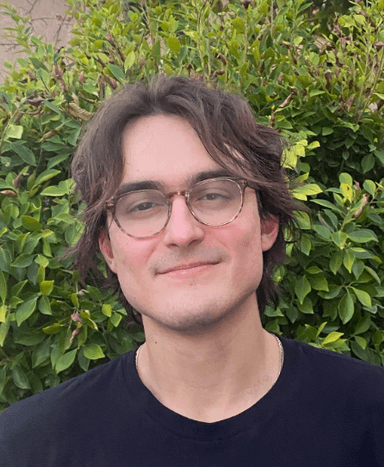 George Badulescu portrait